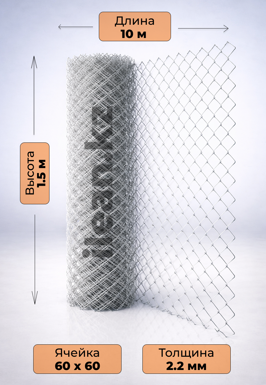 Рабиица ↑1.5м | 60х60