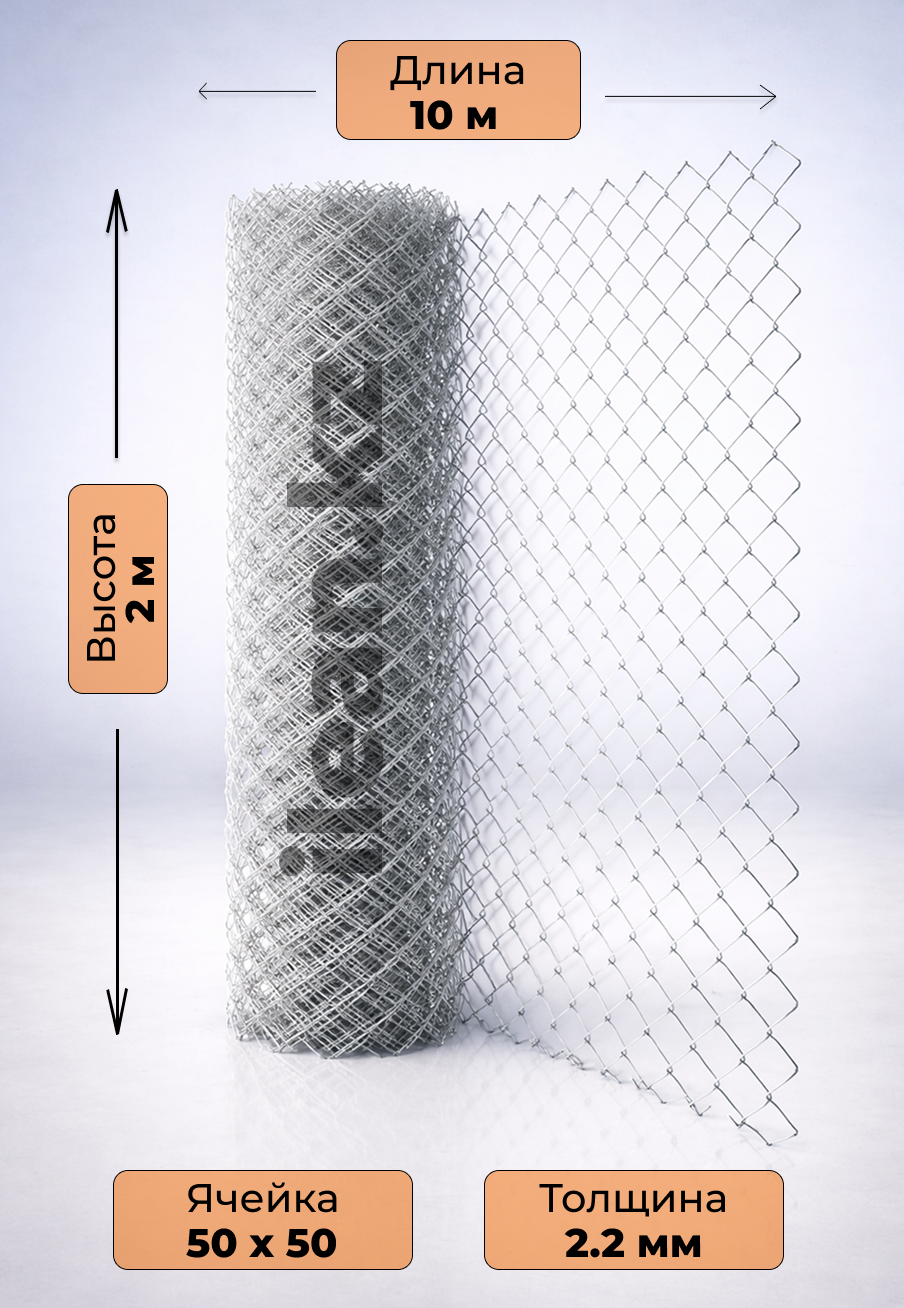 Рабиица ↑2м | 50х50